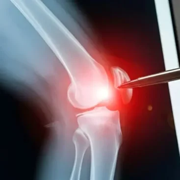 paolo lucci chi sono attivita